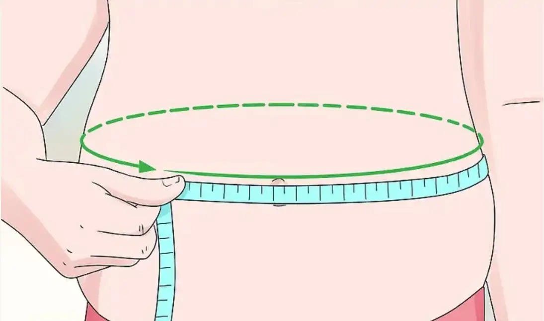Waistline measurement